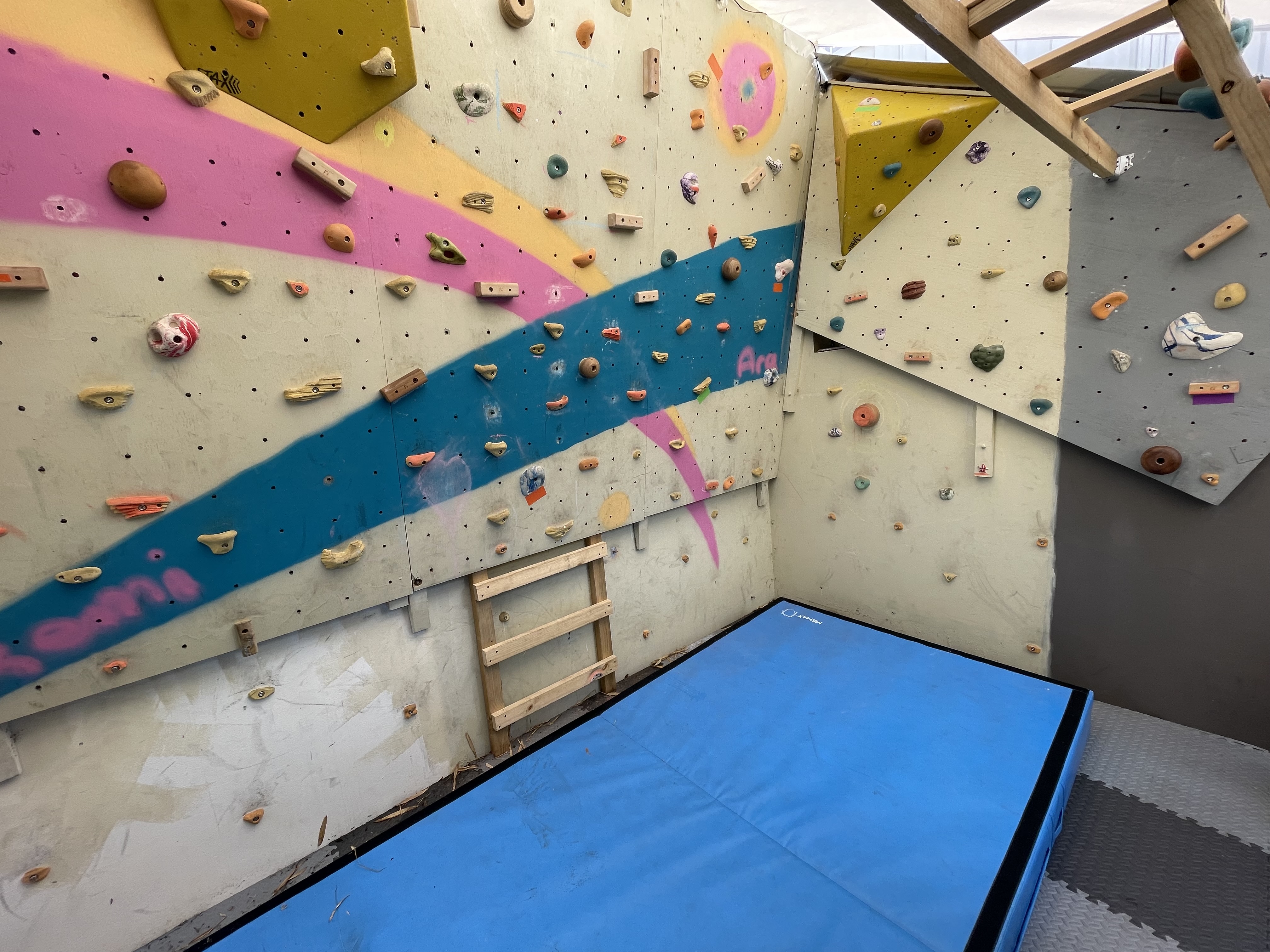 Home climbing wall project 2024